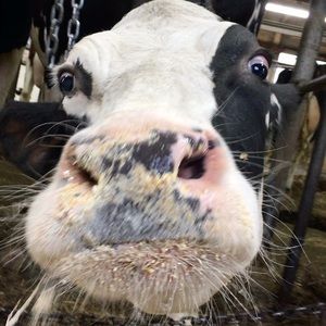 Meet your Posher, Mathilde